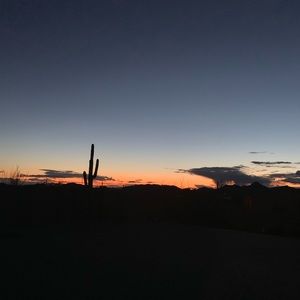 Meet your Posher, Karina